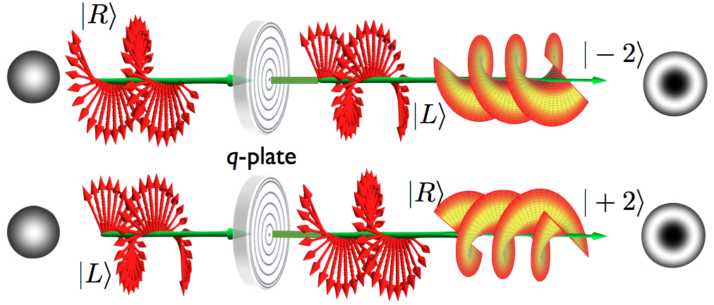 Q Plate 1